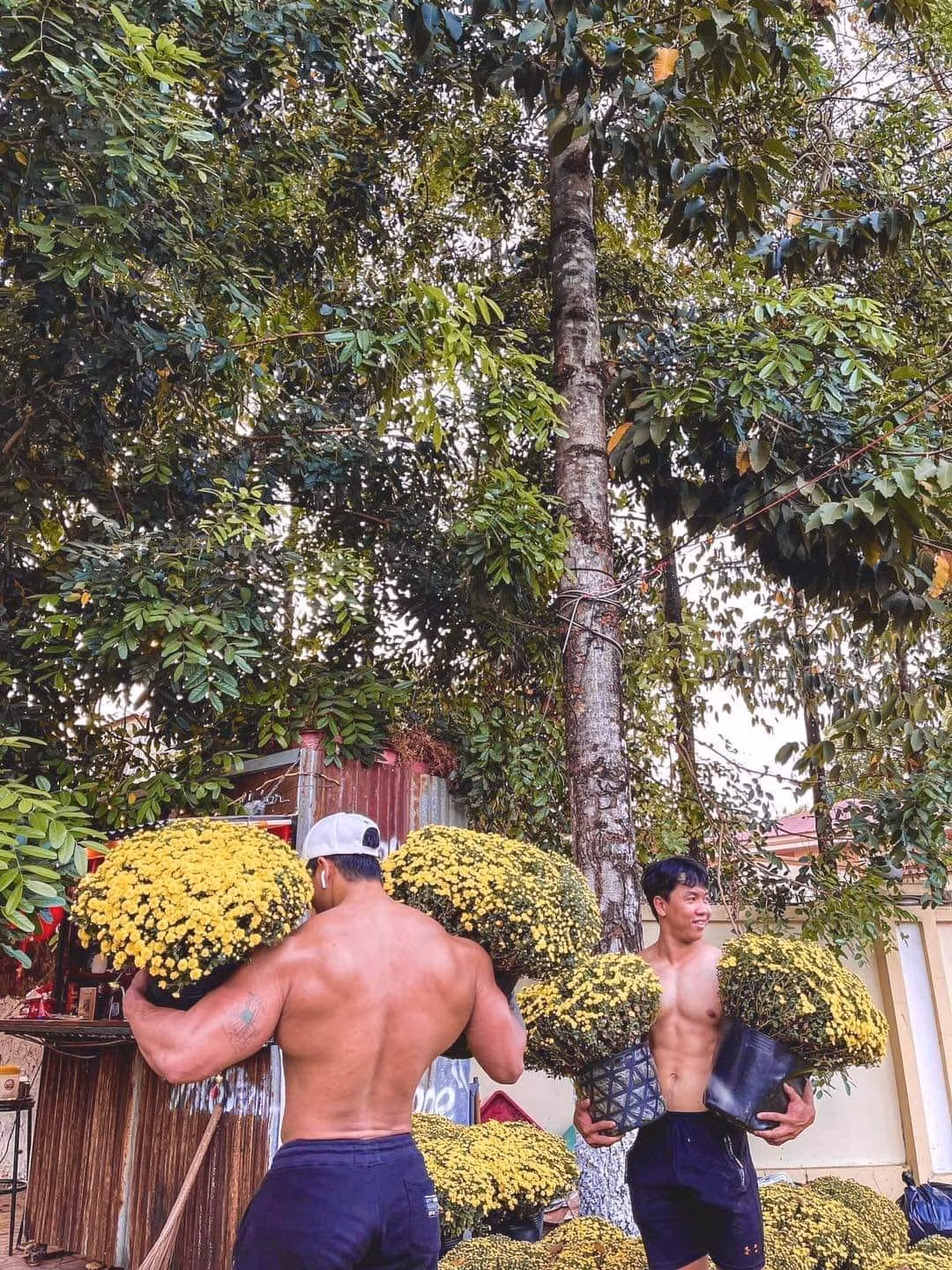 Theo một số dân mạng tìm hiểu, cặp đôi cơ bắp cuồn cuộn này bán hoa phục vụ Tết tại Long Thành - Đồng Nai, phía sau trường Nguyễn Đức Ứng.