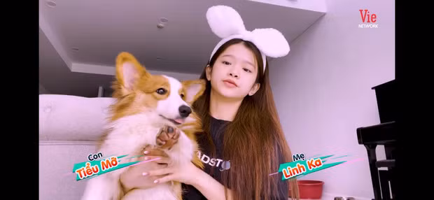 Vừa mới thành lập chưa đầy một ngày và chỉ mới đăng tải một video clip nhưng lượt đăng ký trên kênh Youtube mới của Linh Ka đã đạt gần 1000 người.