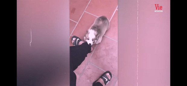 Theo đánh giá của nhiều người, lần "comeback" này của Linh Ka là khá thuận lợi vì không dễ để có lại được số người follow cao như vậy.