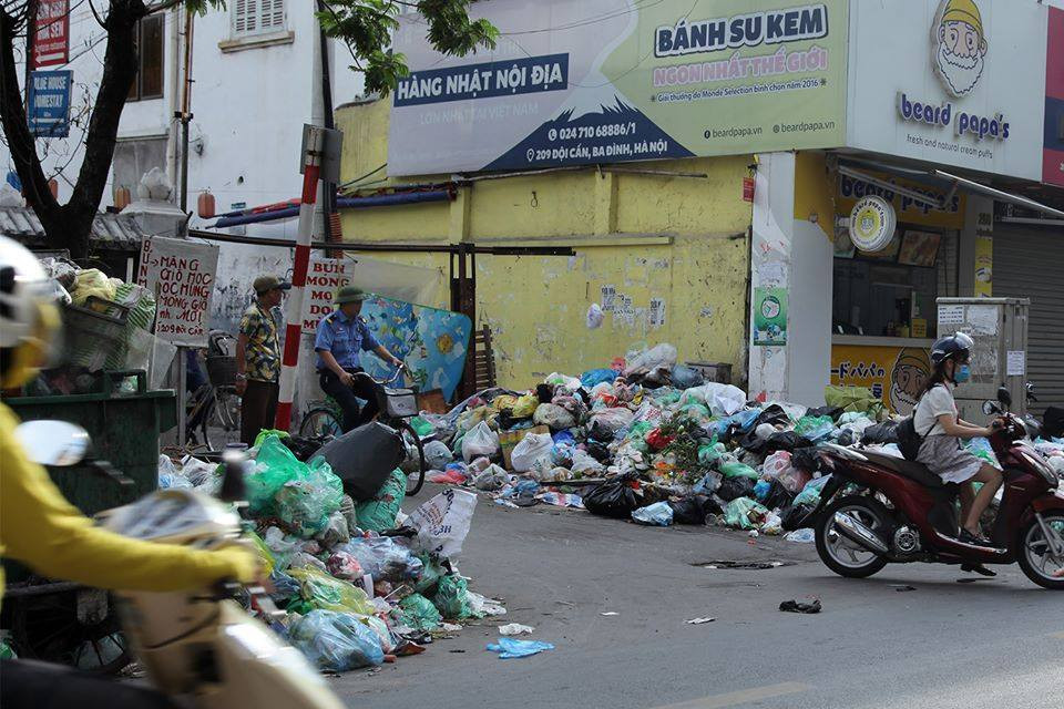 Nhiều nhất là ở các khu tập thể, đầu các con ngõ - nơi tập trung phần lớn rác thải từ các khu dân cư.