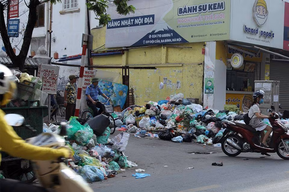 Nhiều nhất là ở các khu tập thể, đầu các con ngõ - nơi tập trung phần lớn rác thải từ các khu dân cư.