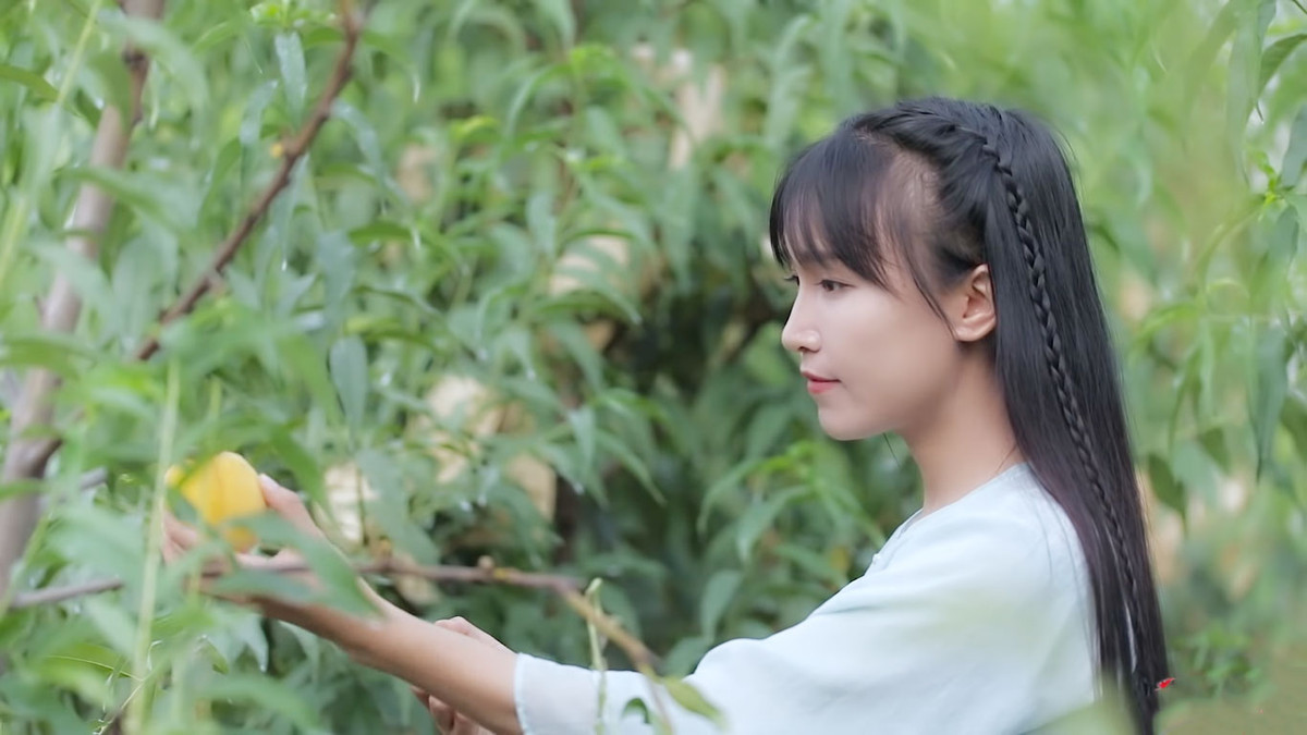 Theo Lý Tử Thất, hiện nay, Internet trở thành công cụ trong nông nghiệp, ngày càng nhiều nông dân mới gia nhập đội ngũ phát triển nông thôn và đạt được thành quả.