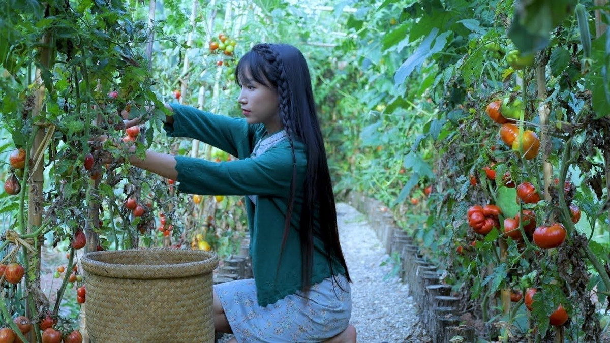 Hàng nghìn người cho biết hai năm qua, không ít người thực hiện phim ngắn về cuộc sống đồng quê song chưa ai quay đẹp, sâu sắc và ấn tượng như Lý Tử Thất. Các fan viết: "Cuối cùng đã trở lại", "Lâu quá không thấy cô ấy", "Cái tên cô ấy quen thuộc với tôi từ lúc nào".