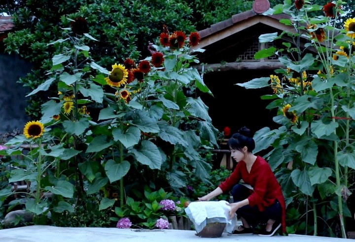 Sau video về làm muối hồi tháng 7/2021, Lý Tử Thất biến mất trên mạng xã hội vì vụ kiện với công ty Weinian.