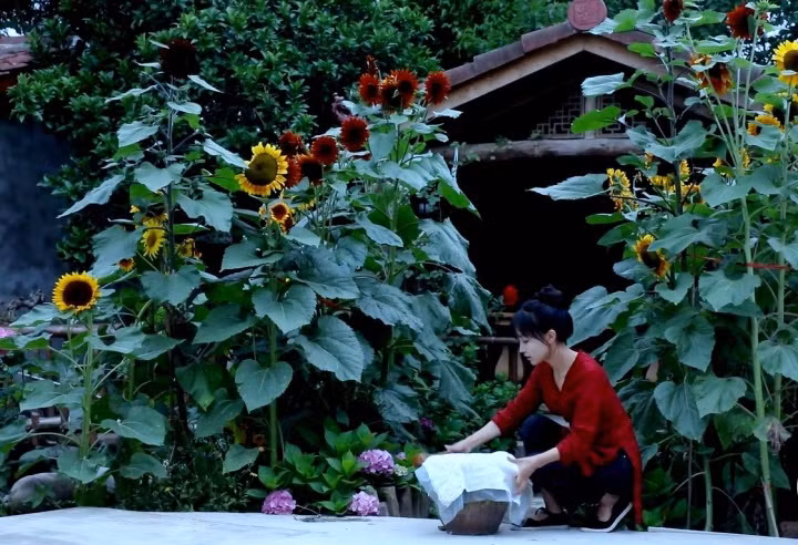 Sau video về làm muối hồi tháng 7/2021, Lý Tử Thất biến mất trên mạng xã hội vì vụ kiện với công ty Weinian.