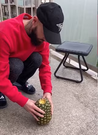 Đoạn clip của John Nonny được chia sẻ hồi tháng 10/2020 và đến nay đã thu hút được hơn 32 triệu lượt xem, khiến không ít dân mạng há hốc vì chẳng ai nghĩ đến cách làm và cách ăn dứa đầy sáng tạo thế này.