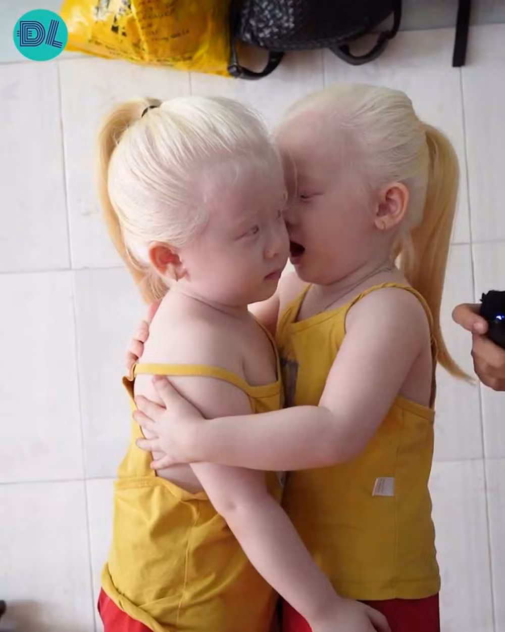 Nếu như trước đây, Tâm Chị sống nội tâm hơn em gái thì giờ đây đã cởi mở rất nhiều. Bé sẵn sàng để cha mẹ quay video riêng mình, chia sẻ những câu chuyện ngây ngô nhưng không kém phần thú vị.