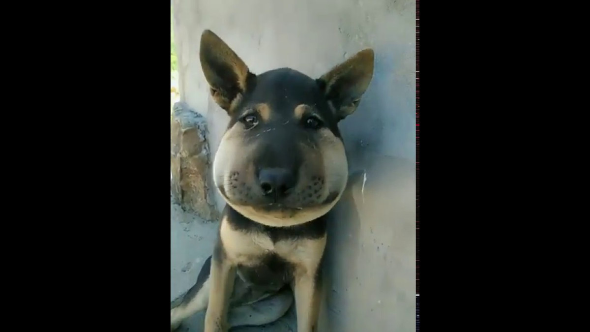 Chứng kiến tình cảnh của anh thợ sửa mạng, cư dân mạng khuyên anh nên sớm đến gặp bác sĩ để được hỗ trợ kịp thời.