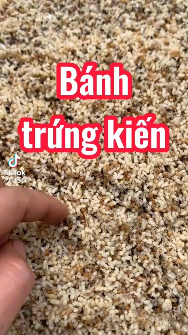 Ngoài ra Hoài Thương cũng phải tự căn ke góc máy, tự quay và tự dựng clip. Mọi thứ cô đều mày mò và học làm từng chút một, tất cả bắt đầu từ điện thoại và 1 chiếc tripod.