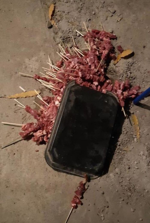 Chuẩn bị cho buổi party BBQ sân vườn nhưng vì 1 phút lỡ tay mà mất đi ngay khay thịt.