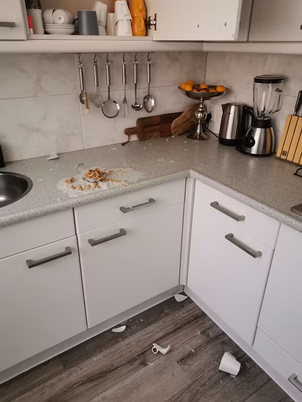 Không chỉ mất ăn mà còn mất nguyên chiếc cốc xinh đẹp.