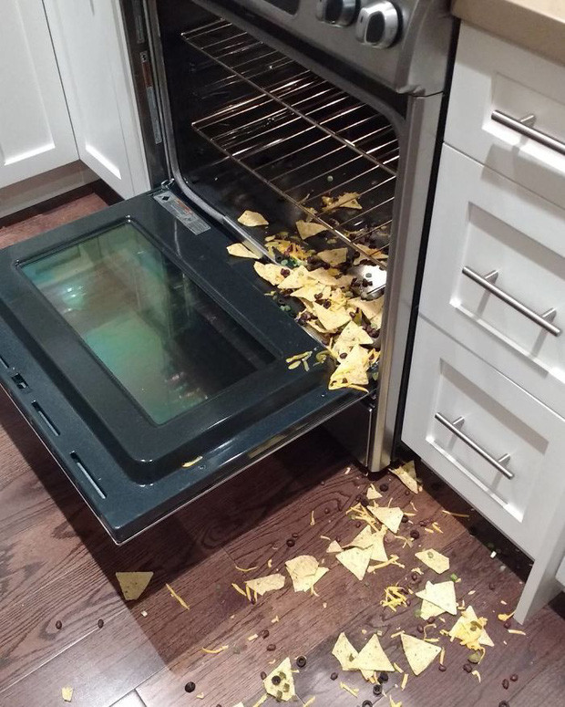 Một phút ngó lơ mất ngay bữa ăn tối.