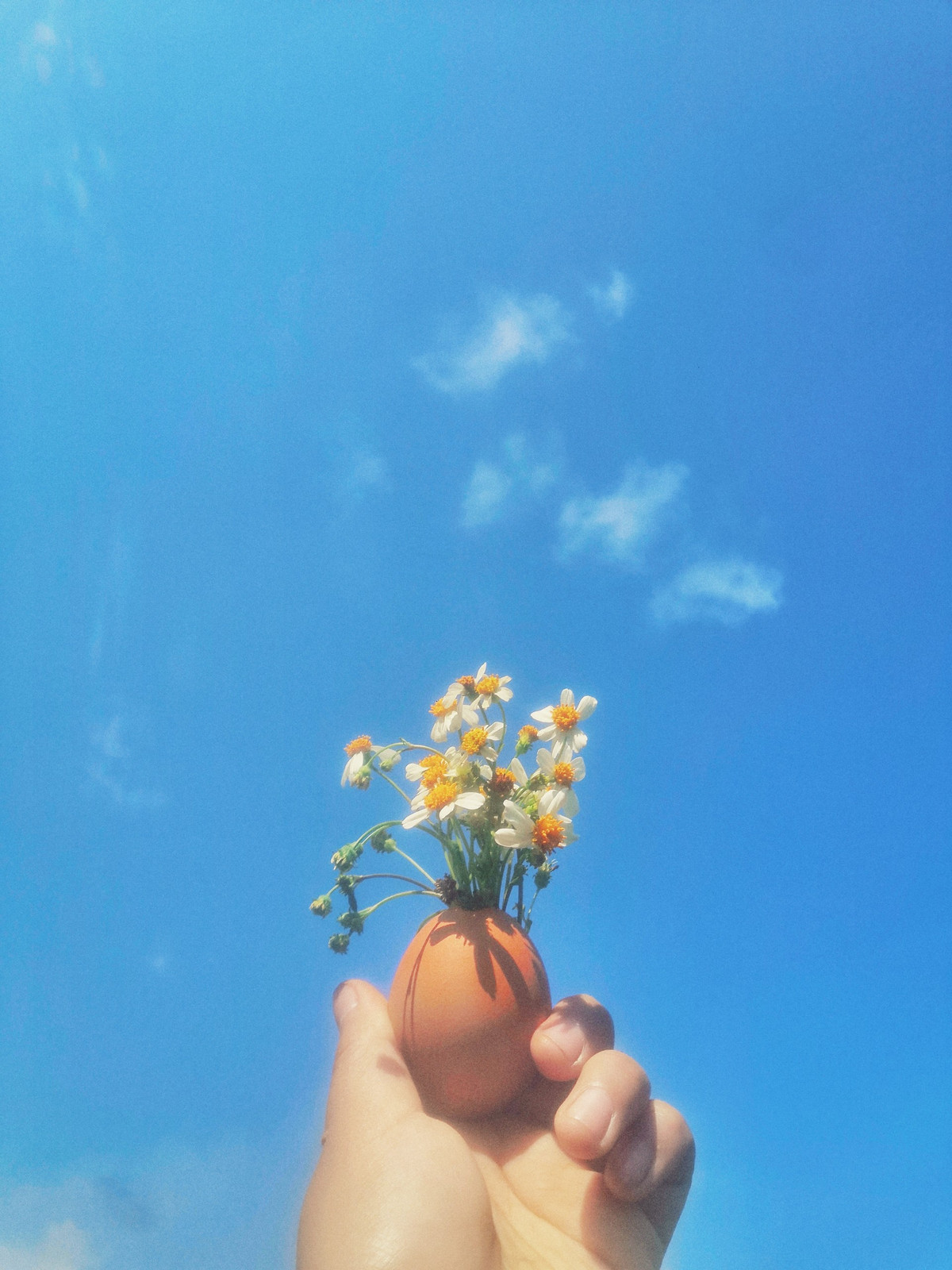 Cùng xem thêm những bức ảnh của "couple trứng" vô cùng đáng yêu này.