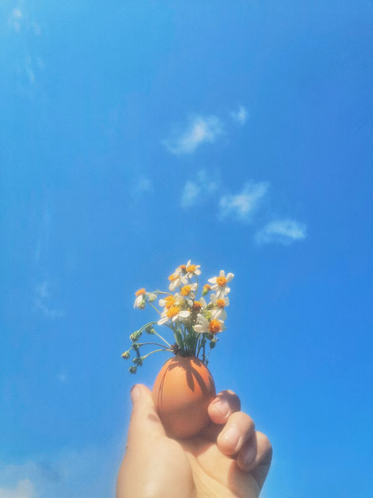 Cùng xem thêm những bức ảnh của "couple trứng" vô cùng đáng yêu này.