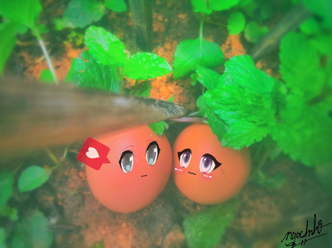 Với khung cảnh trời xanh, mây trắng, nắng vàng cùng một chút màu sắc mơ màng, "couple trứng" xuất hiện trong từng bức ảnh một cách nhẹ nhàng nhưng cũng đầy cảm xúc.