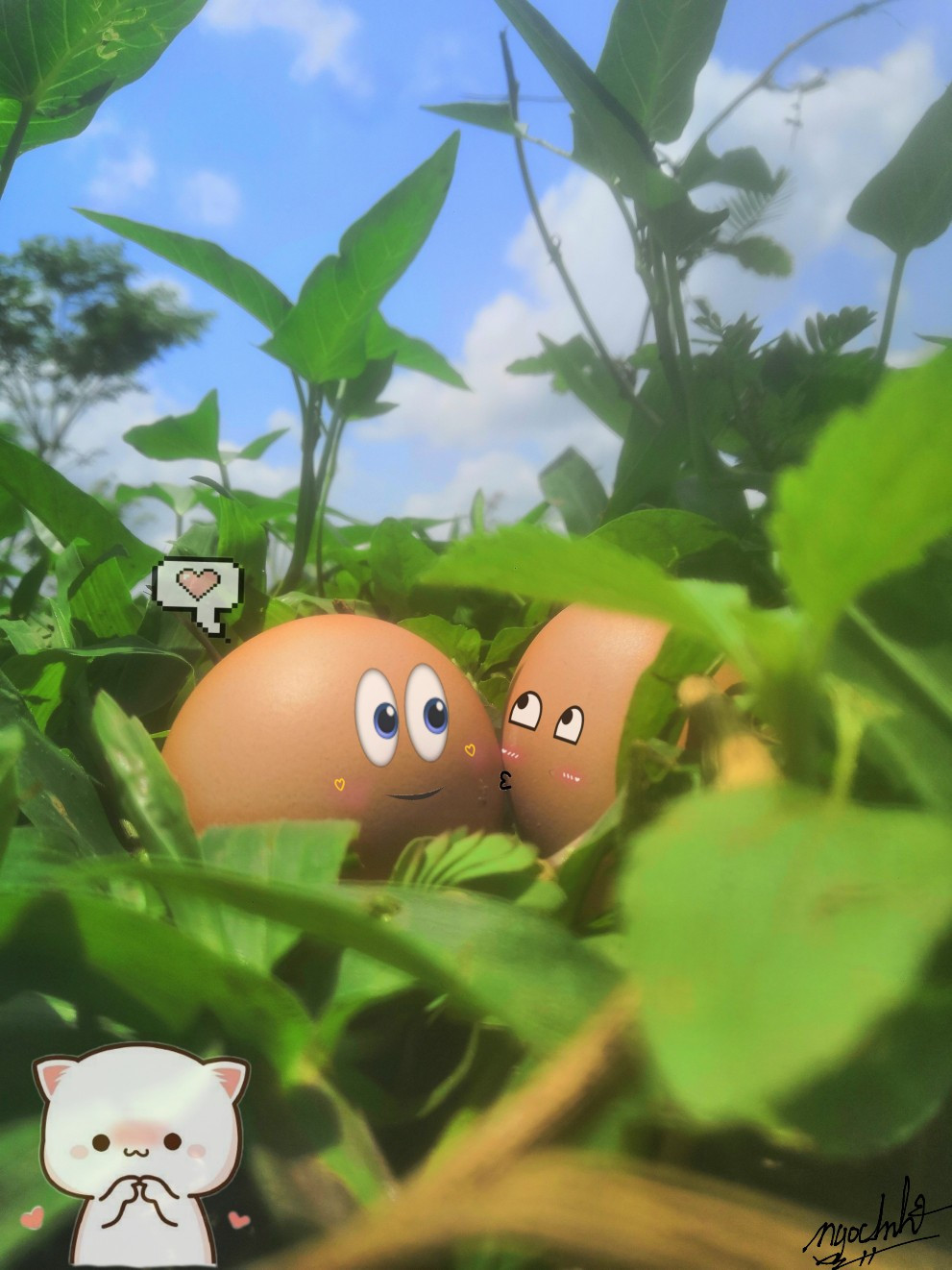 Những bức hình này nhanh chóng nhận được sự đón nhận của cư dân mạng, đặc biệt là các bạn trẻ. Dân tình không ngại ngần thi nhau thả tim tới tấp và để lại những lời khen ngợi không ngớt.