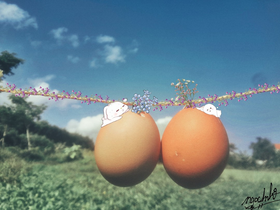 Còn với những dân F.A họ lại được dịp than thân trách phận. "Đến trứng còn có đôi, tôi đây mòn mỏi 20 mùa khoai mà không ai bên mình. Đời nghĩ mà bất công", một dân mạng "ế" để lại bình luận.