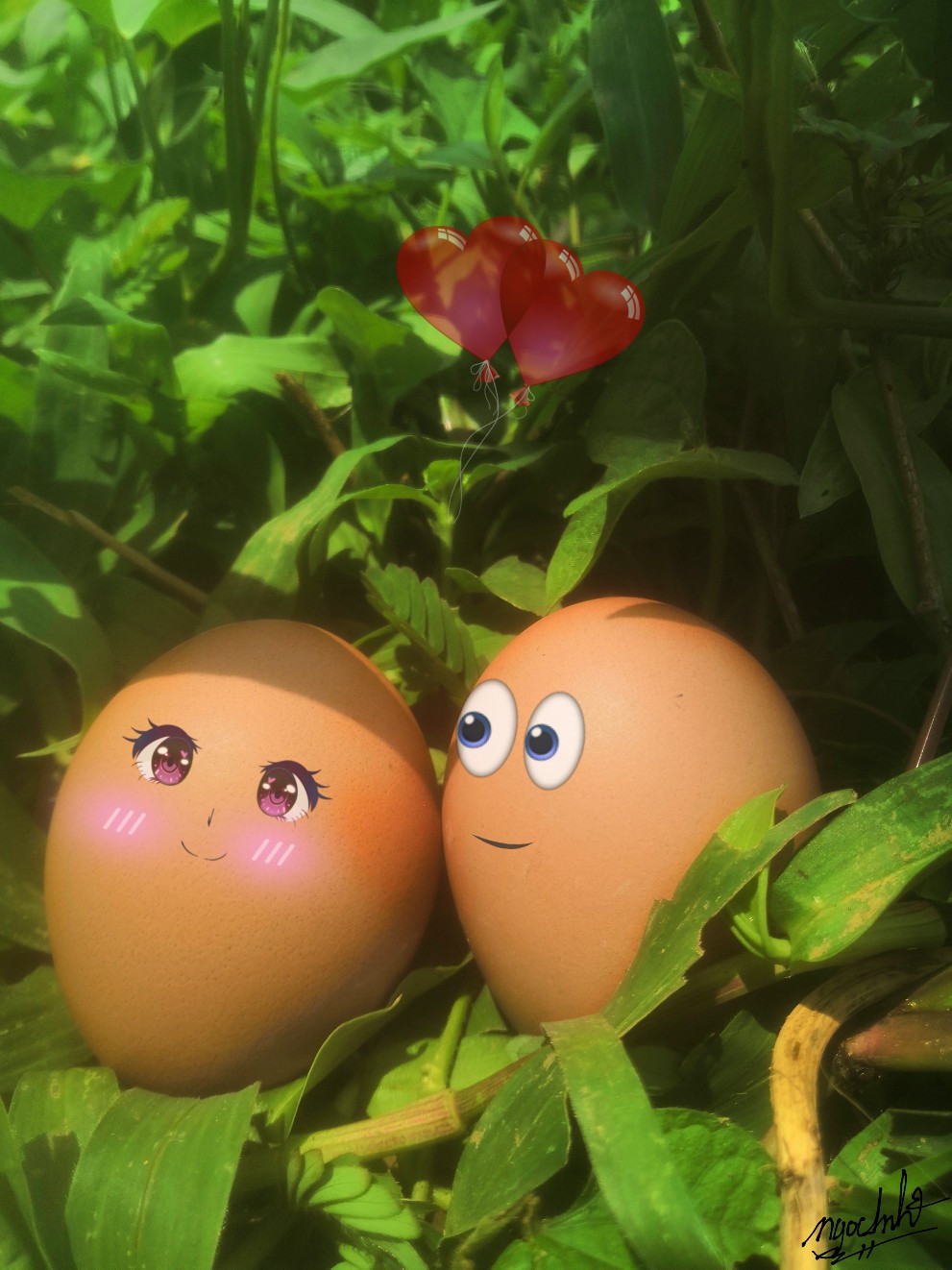 Những ngày cách ly toàn xã hội chỉ cần nhìn những biểu cảm "cưng xỉu"của hai quả trứng của cô bạn Ngọc Anh cũng đã cảm thấy thư thái, yêu đời biết nhường nào.