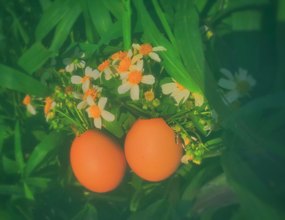 Ngọc Anh chia sẻ: "Bản thân mình những ngày cách ly này ở nhà cũng chán lắm, muốn làm gì đó để tự đem lại niềm vui cho mình. Lúc chụp xong, mình lập tức chia sẻ lên mạng xã hội để mọi người cùng xem, hy vọng sẽ đem lại một chút niềm vui nho nhỏ cho những người ở nhà cách ly mà cảm thấy buồn chán như mình".