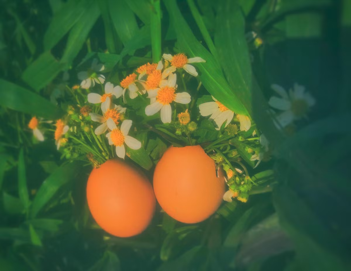 Ngọc Anh chia sẻ: "Bản thân mình những ngày cách ly này ở nhà cũng chán lắm, muốn làm gì đó để tự đem lại niềm vui cho mình. Lúc chụp xong, mình lập tức chia sẻ lên mạng xã hội để mọi người cùng xem, hy vọng sẽ đem lại một chút niềm vui nho nhỏ cho những người ở nhà cách ly mà cảm thấy buồn chán như mình".