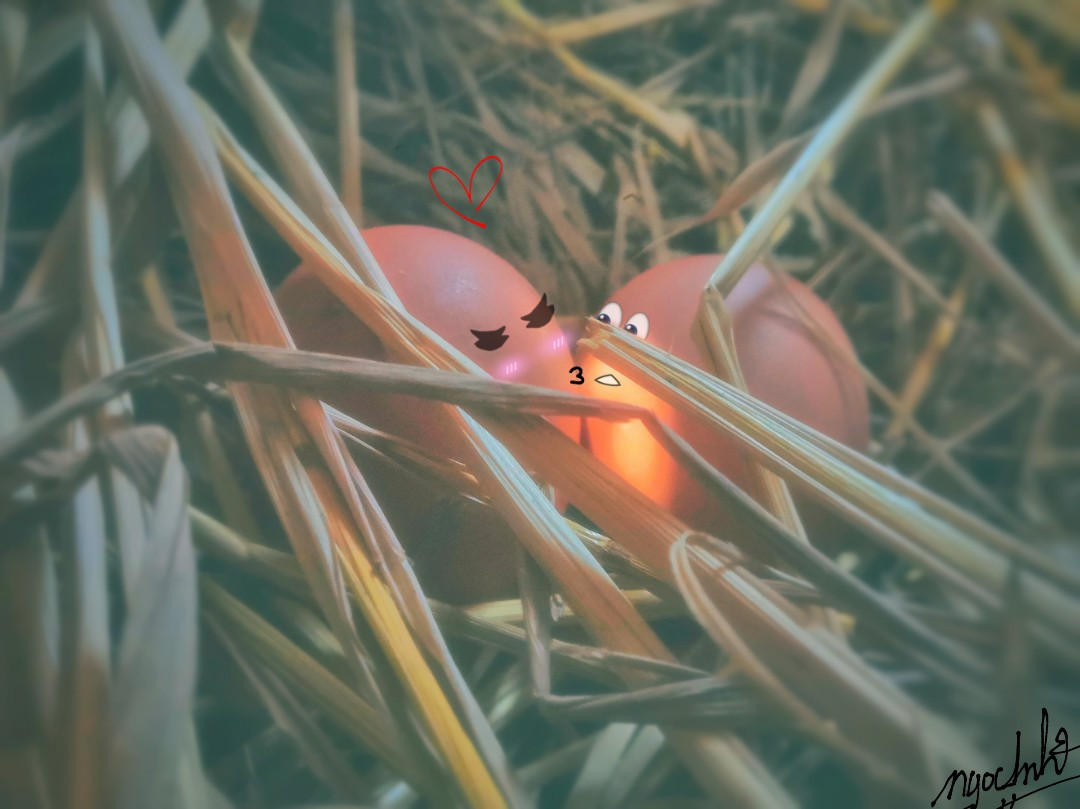 Chủ nhân của bộ ảnh "couple trứng" cho biết những bức ảnh này đều được chụp bằng điện thoại và edit bằng những phần mềm chỉnh ảnh vô cùng đơn giản.