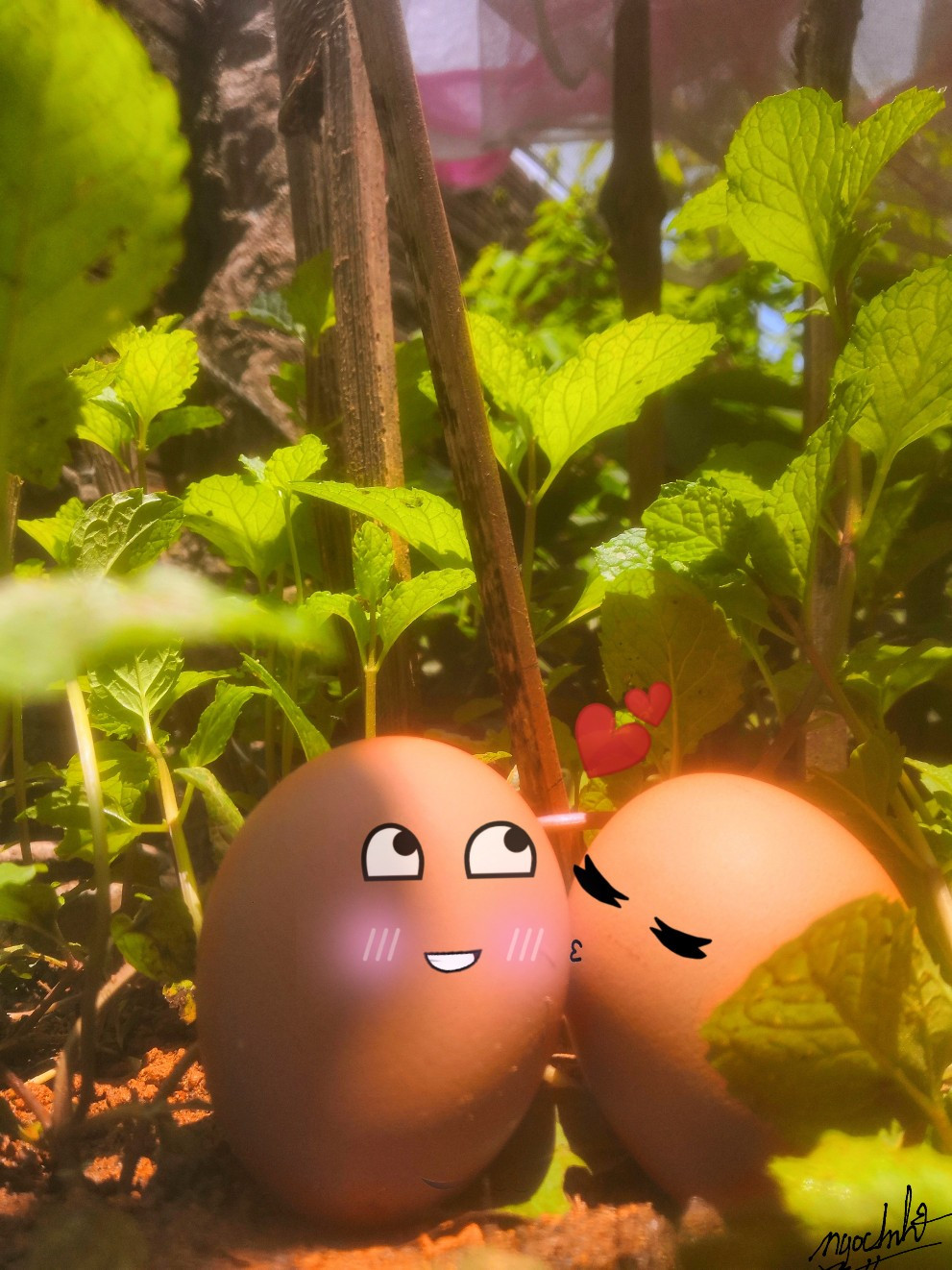  Cách ly toàn xã hội dài ngày, ở nhà mọi người sẽ làm gì? là chủ đề mà không ít người phải đau đầu suy nghĩ trong những ngày vừa qua. Đặc biệt, đối với các bạn trẻ, những ngày nghỉ này sẽ rất tẻ nhạt nếu không biết tự tạo niềm vui, công việc cho mình.