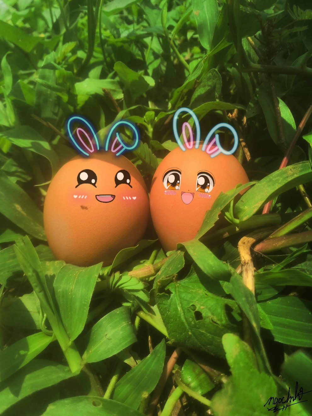 "Cưng bạn chủ tus hơn cưng 2 bạn trứng luôn á. Sao nghĩ được concept dễ thương vầy nè bạn ơi", "Hai chú trứng này "vụng trộm" mà bị bắt quả tang rồi nhé hehe, bạn chỉnh màu đẹp quá bạn ơi"... là những bình luận mà dân tình để lại cho bộ ảnh "couple trứng" của Ngọc Anh.