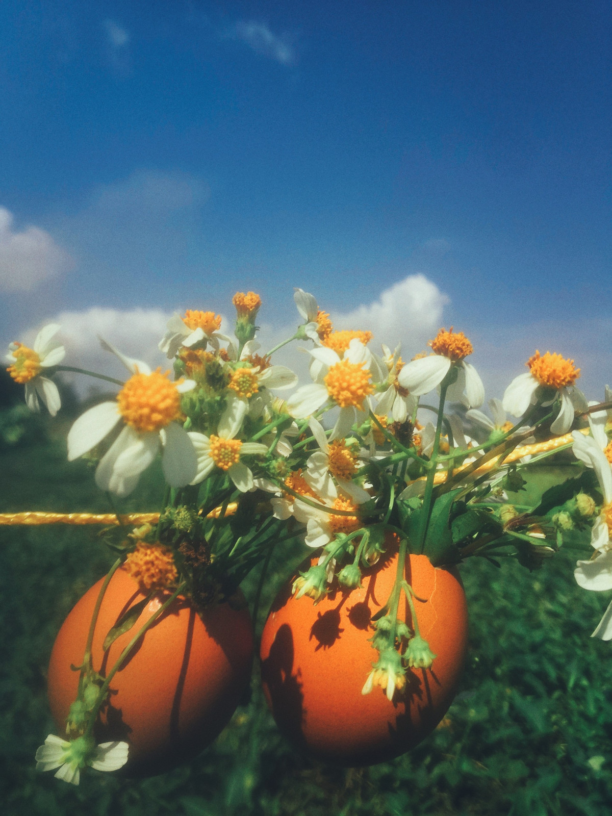 Hiện bộ ảnh thực hiện trong những ngày cách ly toàn xã hội với 2 nhân vật chính là "couple trứng" của cô bạn tên Ngọc Anh vẫn tiếp tục nhận được sự quan tâm của CĐM.