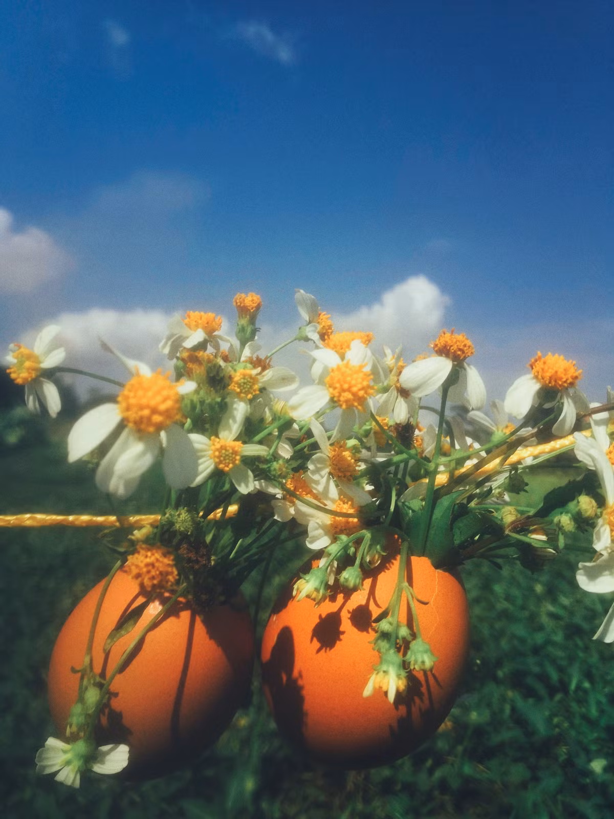 Hiện bộ ảnh thực hiện trong những ngày cách ly toàn xã hội với 2 nhân vật chính là "couple trứng" của cô bạn tên Ngọc Anh vẫn tiếp tục nhận được sự quan tâm của CĐM.