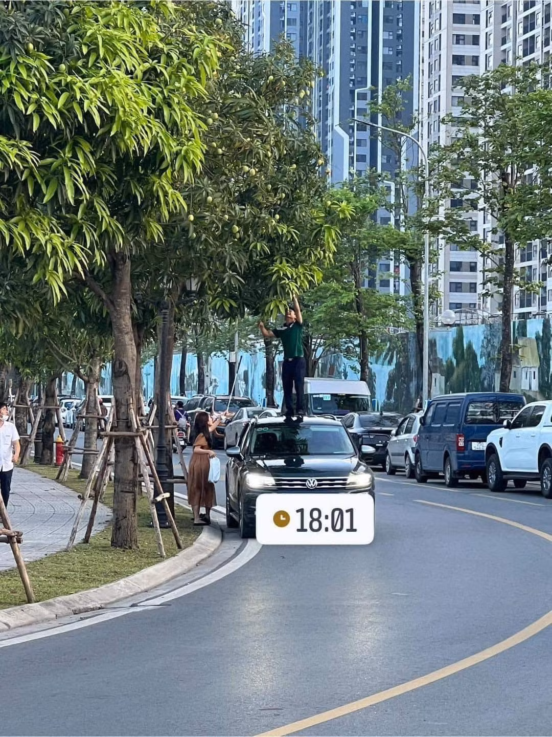 Mới đây, trên mạng xã hội một cặp đôi đã có màn trộm xoài cực bá đạo. Thay vì dùng xào hay gậy dài như bình thường, người đàn ông đã đứng lên nóc chiếc xe ô tô để với lên cây.