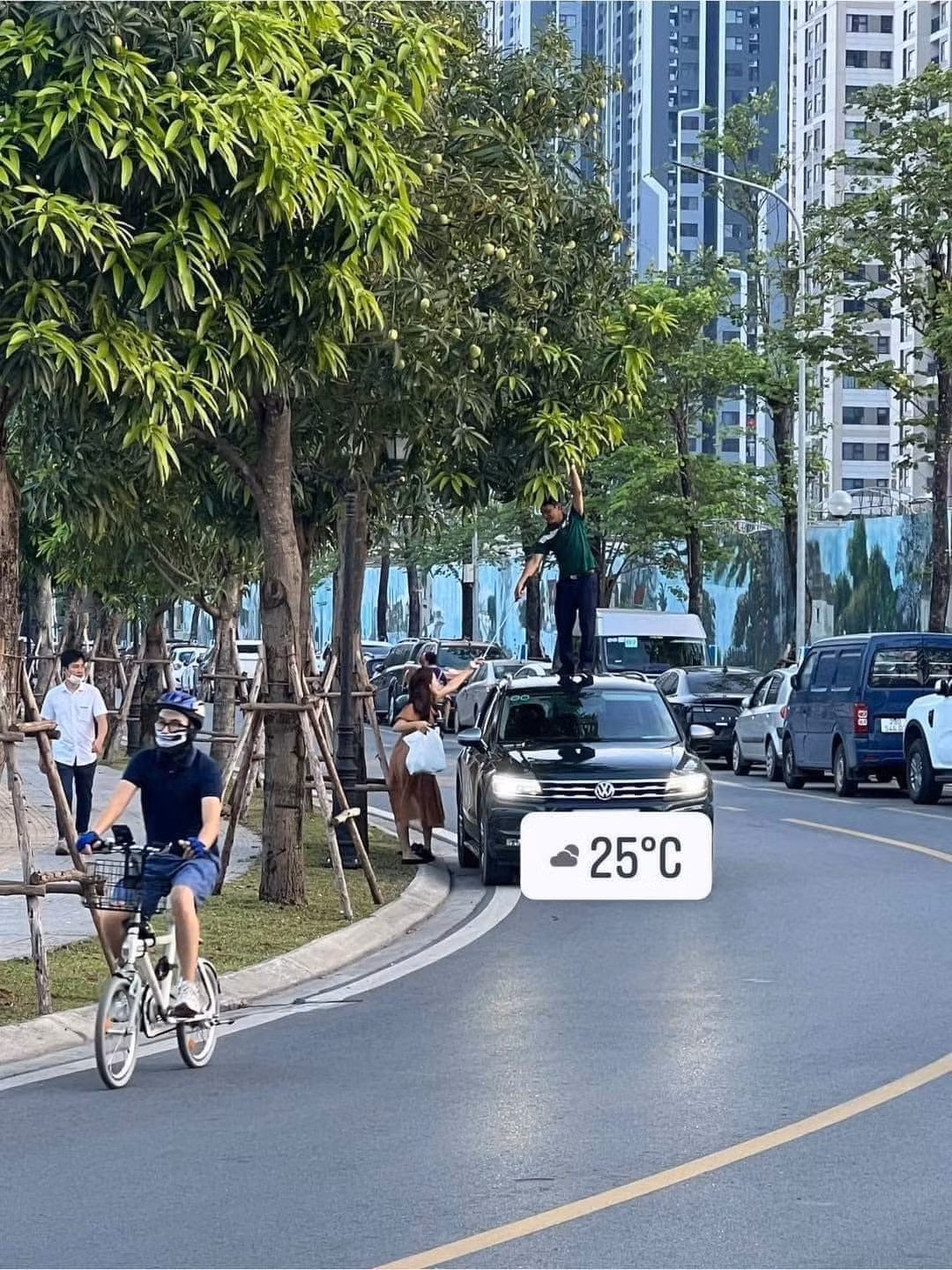 Den hen lai len bi kip hai trom xoai duoc netizen truyen tay nhau