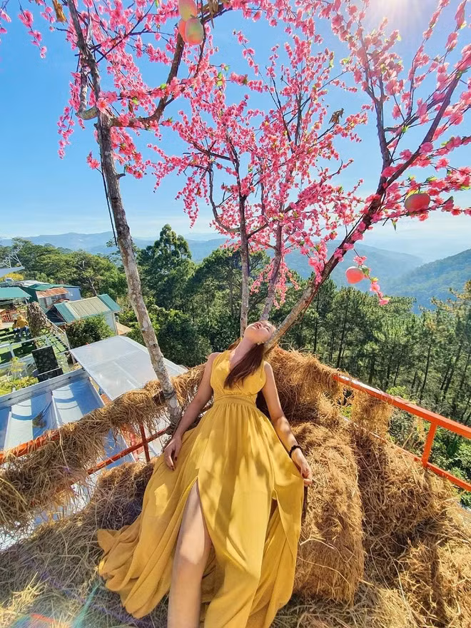 Từ phiên bản này, Minh Châu và các bạn của cô đã nảy ra ý tưởng chụp ảnh check-in mới vô cùng khó đỡ. Cô bạn biến tấu và tạo dáng ngã sấp mặt ở bất cứ địa điểm nào mà cô đặt chân đến.