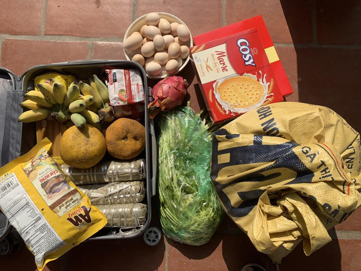 Hình ảnh các ông bố, bà mẹ tất bật chạy ra ruộng rau của gia đình để lấy những bó rau, loại củ tươi nhất mang về làm quà quê cho các con mang đi Hà Nội bắt đầu hoạt động sau dịp nghỉ lễ Quốc khánh.