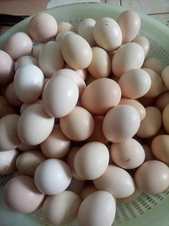 Rất nhiều món đồ, từ rau củ, thịt sạch, cá mú cho đến tôm tép... tất cả đều được mẹ phân chia ra từng túi nhỏ, để tiện cho con, ăn bữa nào giã đông bữa ấy cho đồ được ngon, bảo quản được lâu hơn.