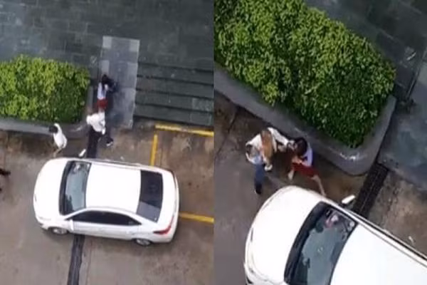 Clip chong 1 tay be con 1 tay danh vo khien dan tinh phat so