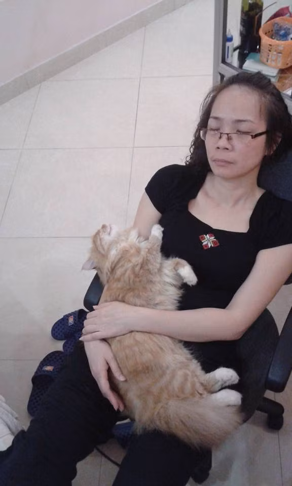 Thay vì ôm con đẻ thì ôm con ghẻ ấm áp hơn.