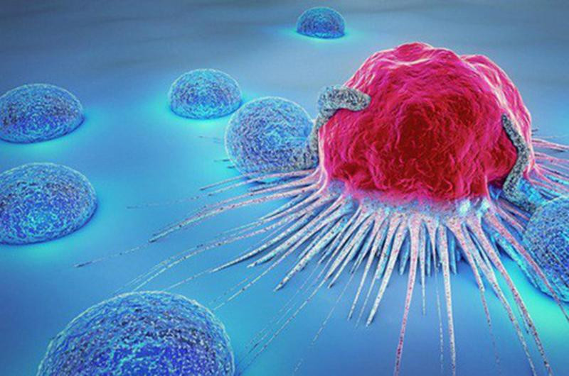 Để ngăn ngừa ung thư, con người cần tiến hành nghiên cứu chuyên sâu hơn về thực phẩm chống ung thư và không ngừng tìm kiếm những thực phẩm chống ung thư mới và tốt hơn.