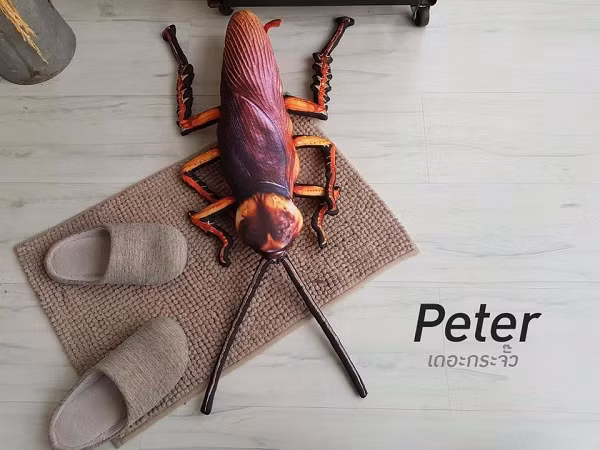 Hội chứng sợ gián là điều không ít người gặp phải, loại động vật này không chỉ gây cảm giác hoang mang vì vẻ ngoài mà còn vì sự "manh động" của chúng.