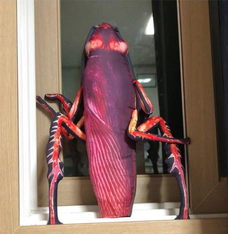 Mới đây trên mạng xã hội, những chiếc gối ôm hình con gián khi vừa lên sóng lập tức thu hút sự chú ý của nhiều người.