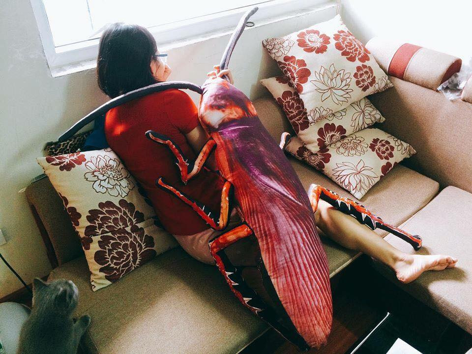 Thậm chí có bạn trẻ còn hài hước cho rằng, việc ôm chú gián Peter này sẽ khiến người đó ngủ ngon hơn và có những giấc mơ đẹp.