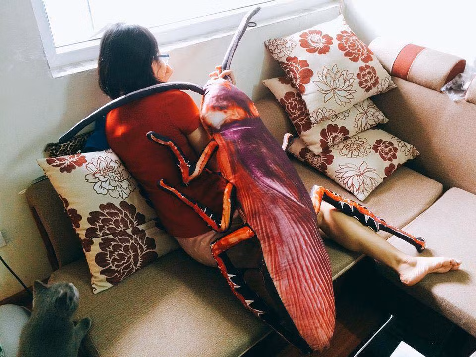 Thậm chí có bạn trẻ còn hài hước cho rằng, việc ôm chú gián Peter này sẽ khiến người đó ngủ ngon hơn và có những giấc mơ đẹp.