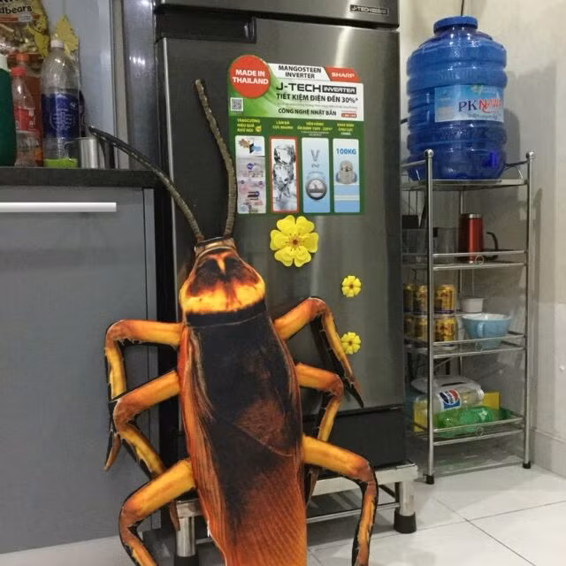 Sau khi chiếc gối ôm có hình thù độc đáo này được đăng tải rộng rãi trên mạng xã hội, đã có 2 luồng ý kiến được đưa ra.