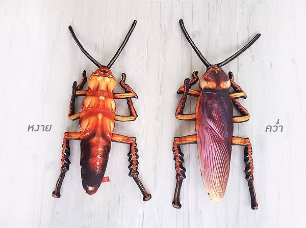 Nhiều người còn cho biết sẽ mua nó về tặng cho người yêu làm gối ôm đôi, tặng cho bạn thân dịp sinh nhật.