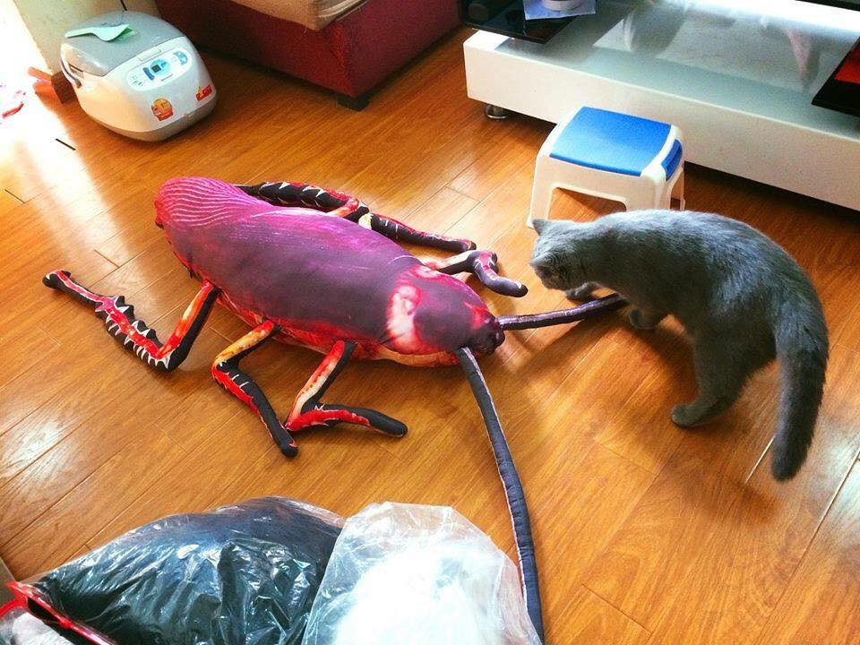 Tuy nhiên đối với "hội sợ gián", thì chiếc gối nhồi bông trên quả là thứ "không đội trời chung" hay không nên xuất hiện trên đời này.