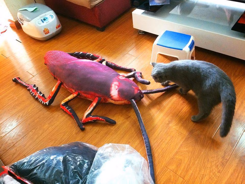 Tuy nhiên đối với "hội sợ gián", thì chiếc gối nhồi bông trên quả là thứ "không đội trời chung" hay không nên xuất hiện trên đời này.