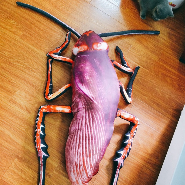 Với hội lầy lội và yêu thích những thứ độc, lạ thì cho rằng những chiếc gối ôm này là thứ sinh ra để dành cho họ.