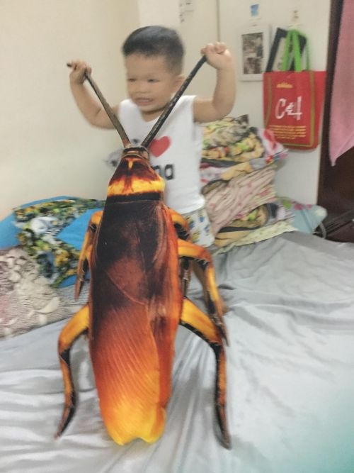 Lúc mới ra đời, một chú gián Peter này được bán với giá 890 Baht Thái, tương đương khoảng 600.000 đồng và còn được tặng miễn phí... túi đựng rác. Sau khi phổ biến hơn và xuất hiện với nhiều kích thước khác nhau ở nhiều nước trên thế giới thì giá thành của nó đã rẻ hơn rất nhiều.