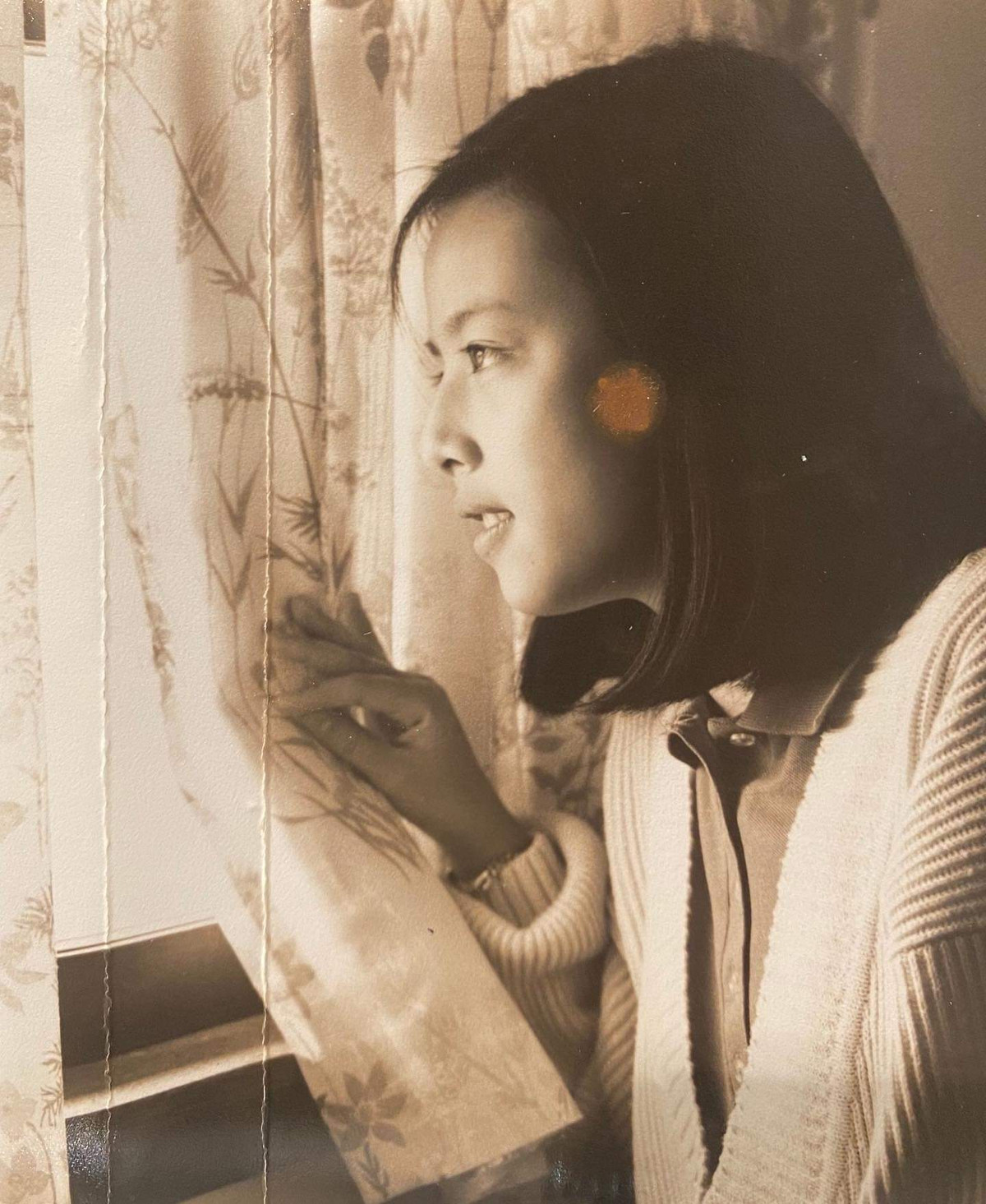 Là hậu duệ của gia tộc giàu có khét tiếng, Nualphan Lamsam sở hữu tầm nhìn xa trông rộng và khối óc cực nhạy bén. Hiện nay, bà đang là Chủ tịch kiêm chức Giám đốc điều hành của công ty bảo hiểm hàng đầu của xứ sở chùa vàng - Muang Thai Insurance.