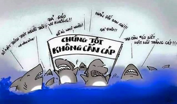 Nỗi oan cắn cáp biển của cá mập bao giờ mới được giải.