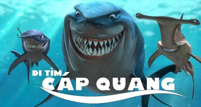 Đây không phải lần đầu tiên mỗi khi cáp quang biển bị đứt, cá mập trở thành nghi phận số 1.